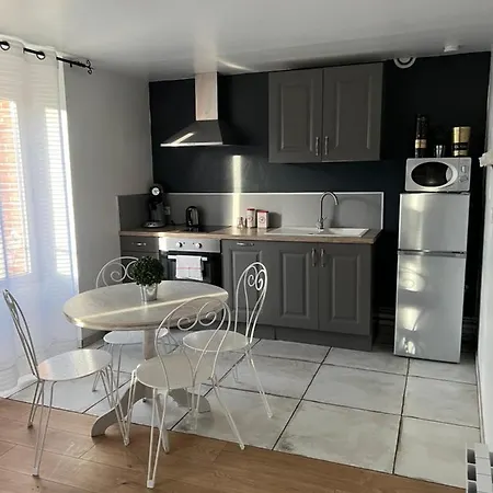 Apartment Le Louis Pasteur 4 Premium *